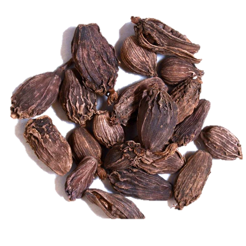Large Cardamom